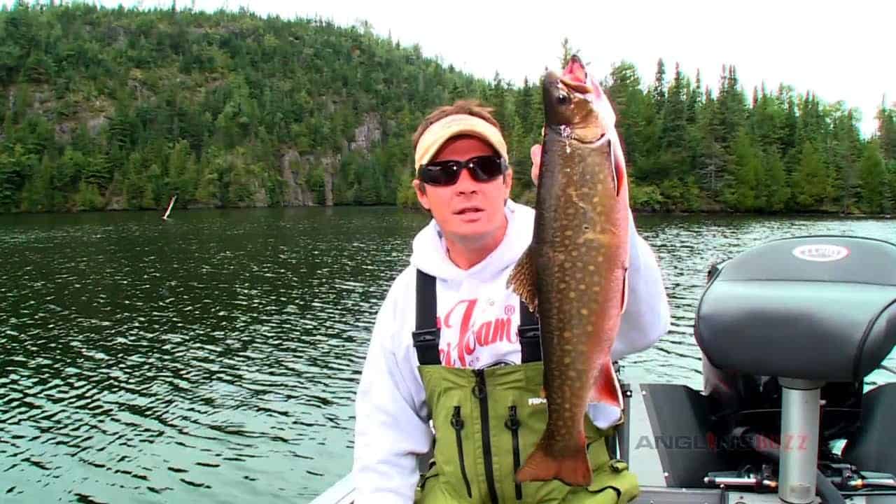 Brook Trout Lures and Tactics