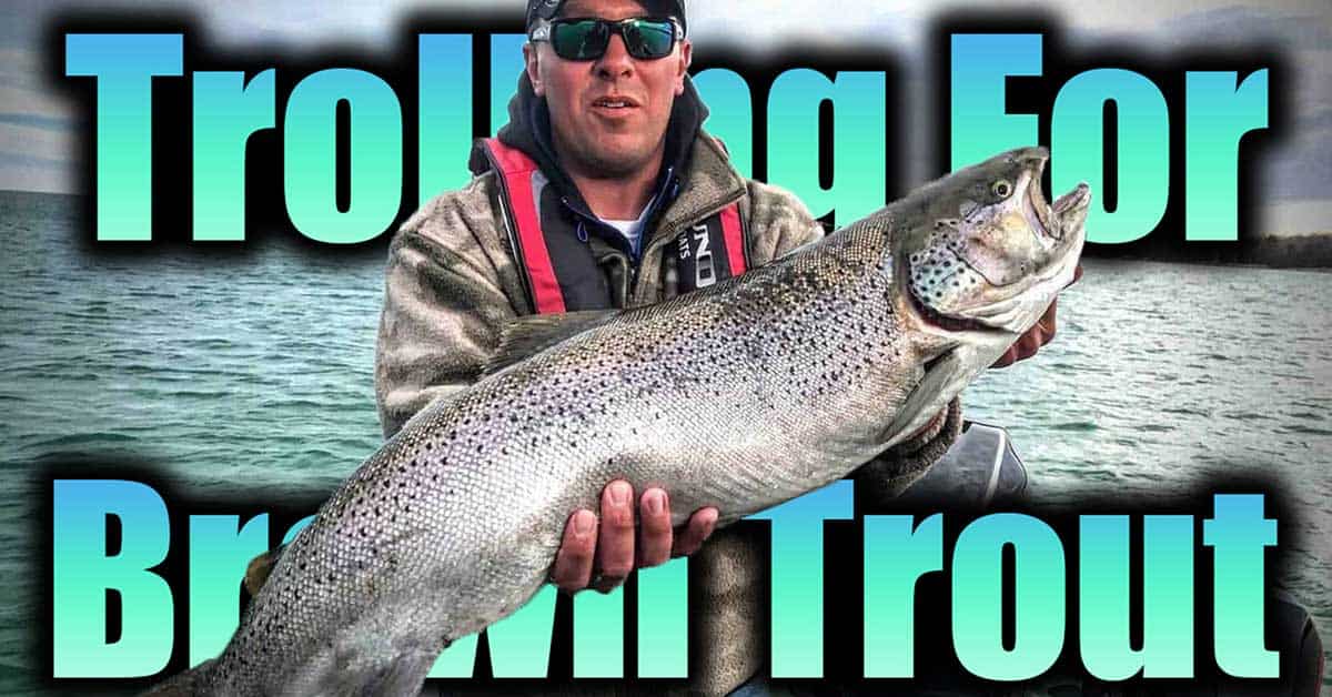 spring brown trout trolling