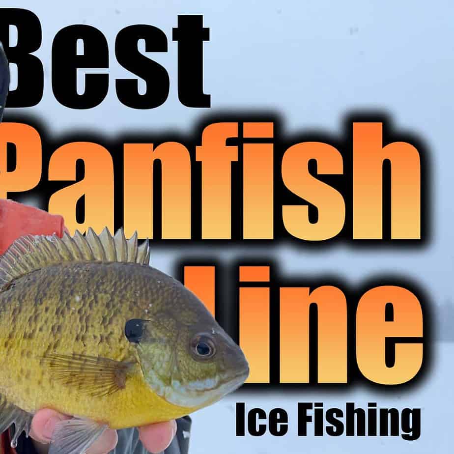 best panfish line for ice fishing