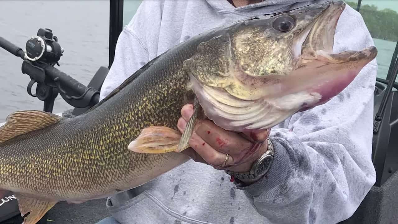 Duluth Area & Lake Superior Fishing Report