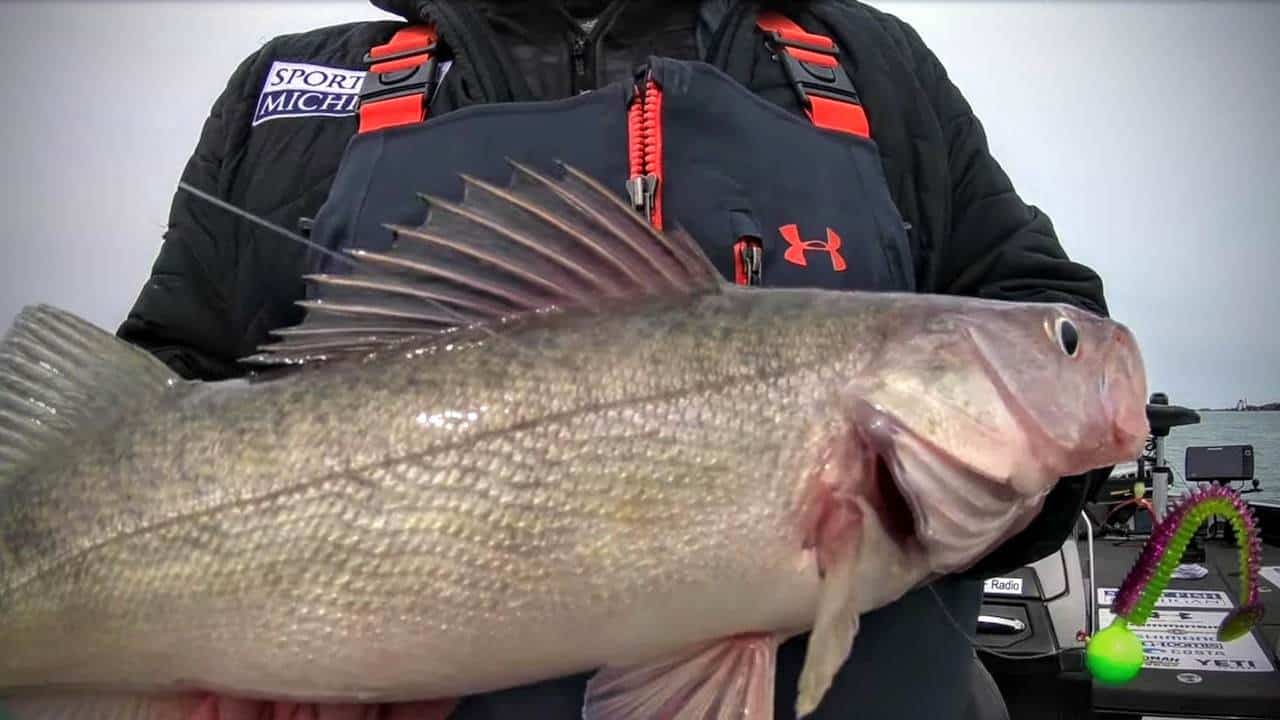 Michigan Fishing Report