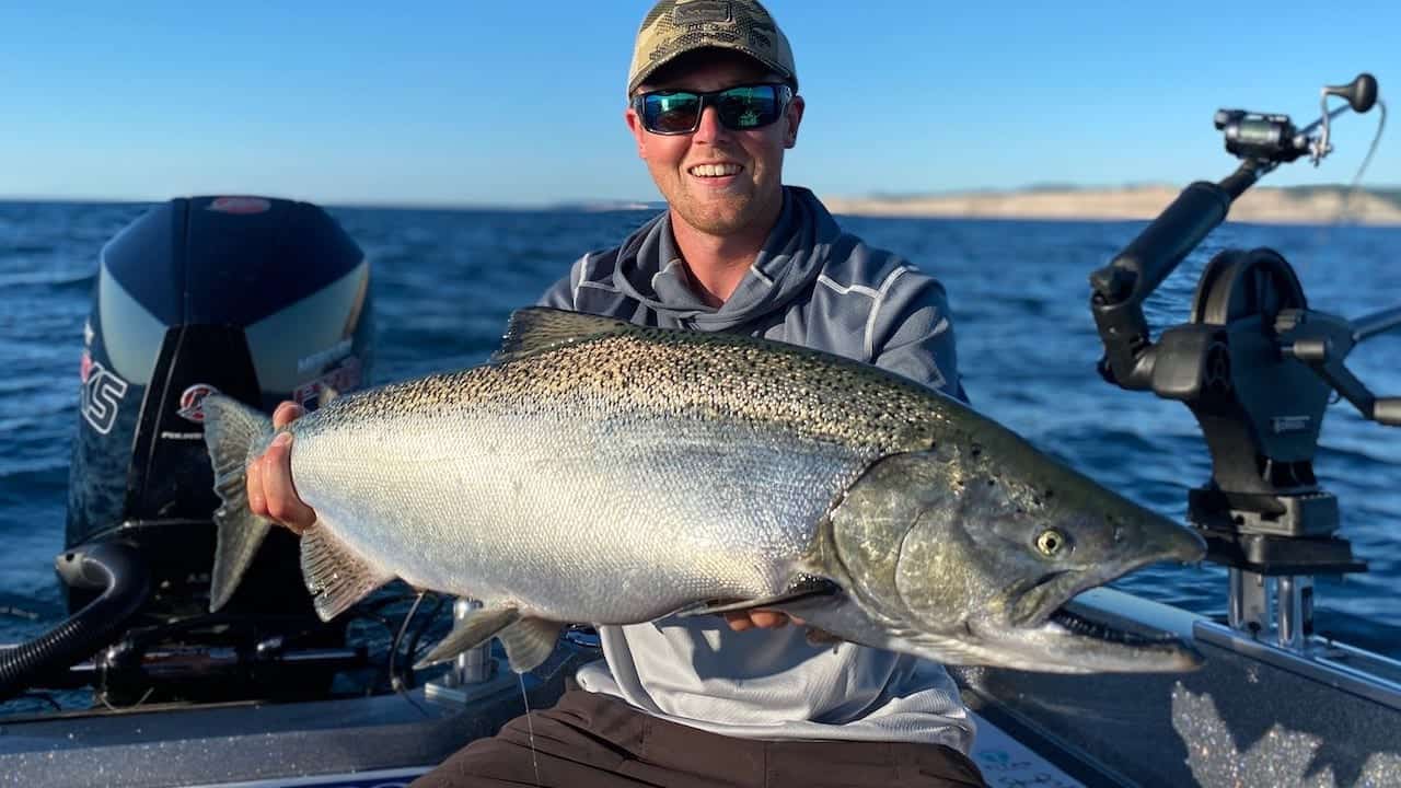 Lake Michigan King Salmon Report for Early August