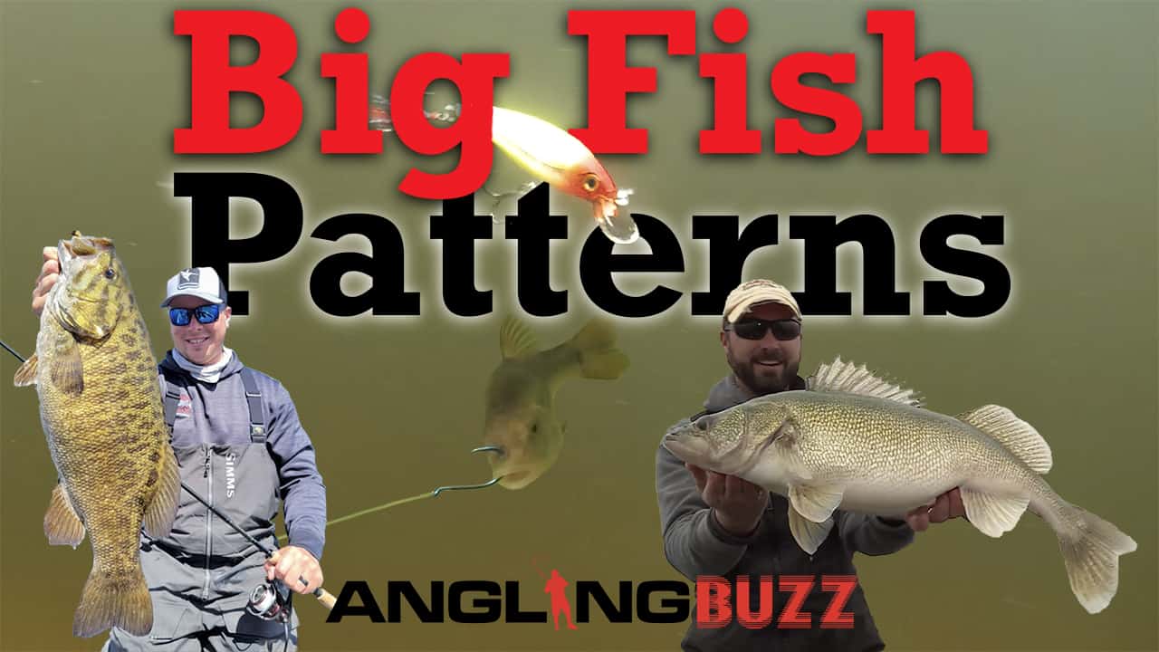 Big Fish Patterns