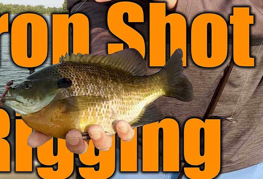 drop shot rigging panfish