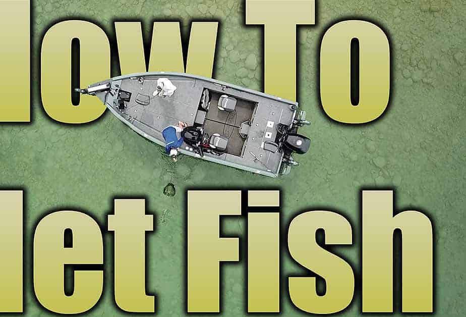 how to net fish