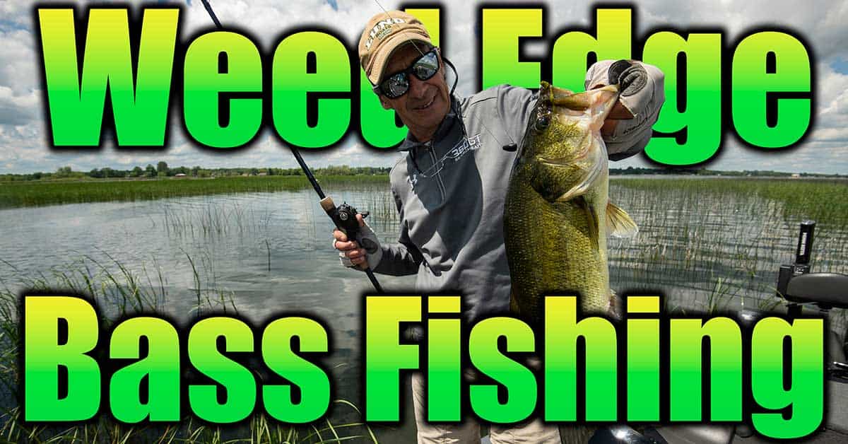 weed edge bass fishing