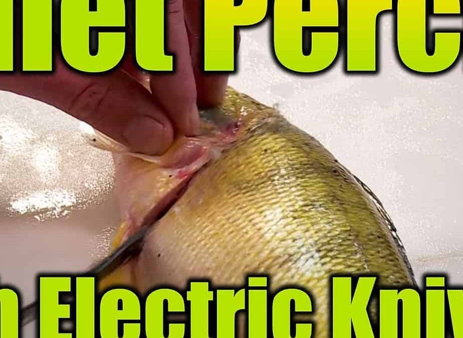 How to Fillet Perch With Electric Knives