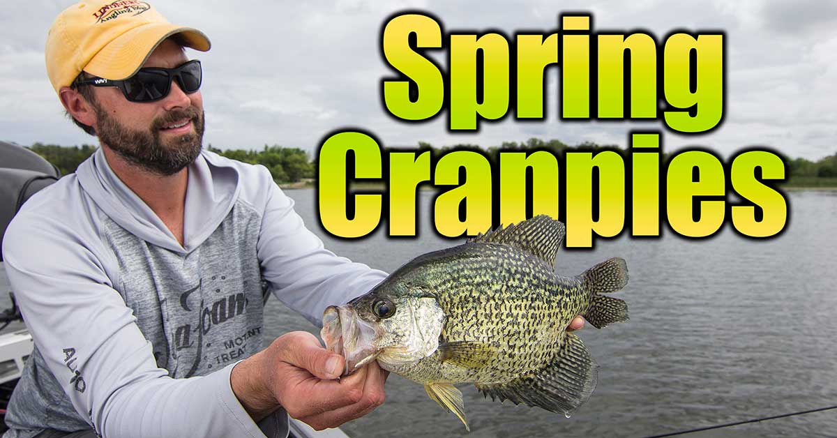 spring crappies