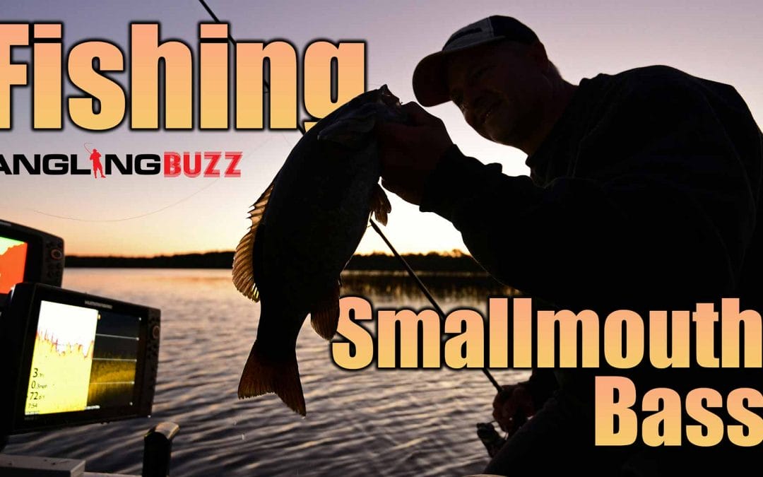 AnglingBuzz Show 9: Summer Smallmouth Bass Fishing