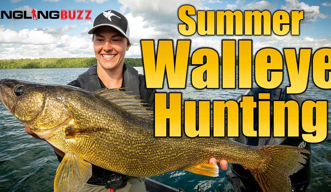 AnglingBuzz Show 12: Hunting Down Summer Walleyes