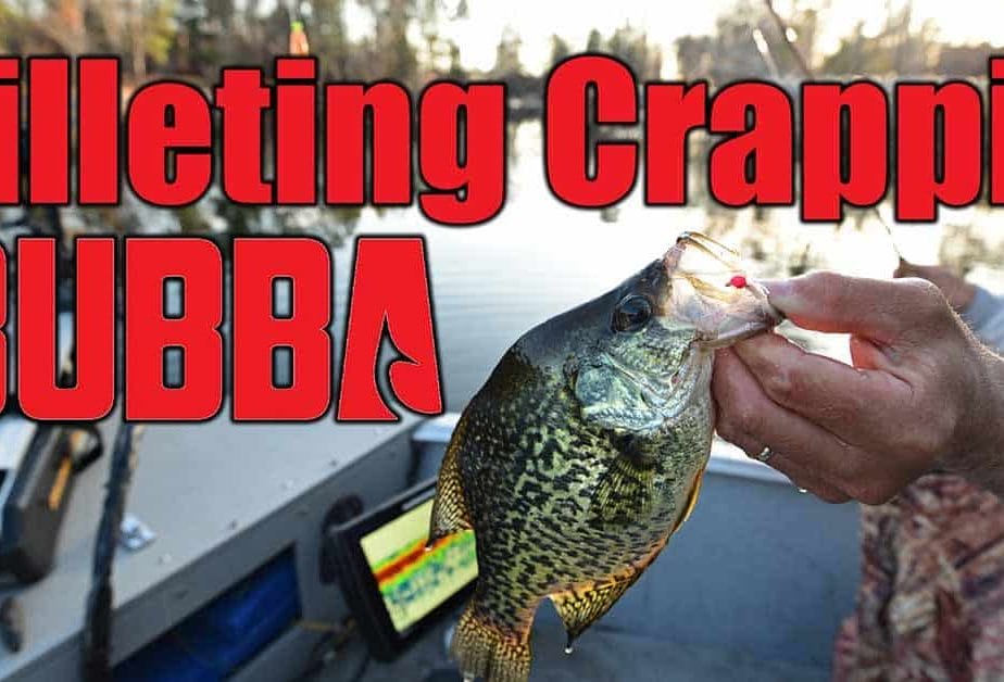 Filleting Crappies: Step by Step