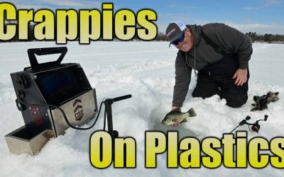 Ice Fishing Crappies on Plastics